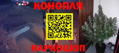 сатива Донской