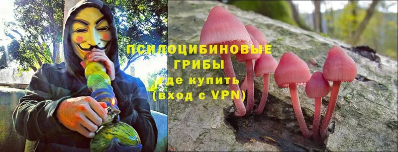 Псилоцибиновые грибы MAGIC MUSHROOMS  Каменск-Шахтинский 