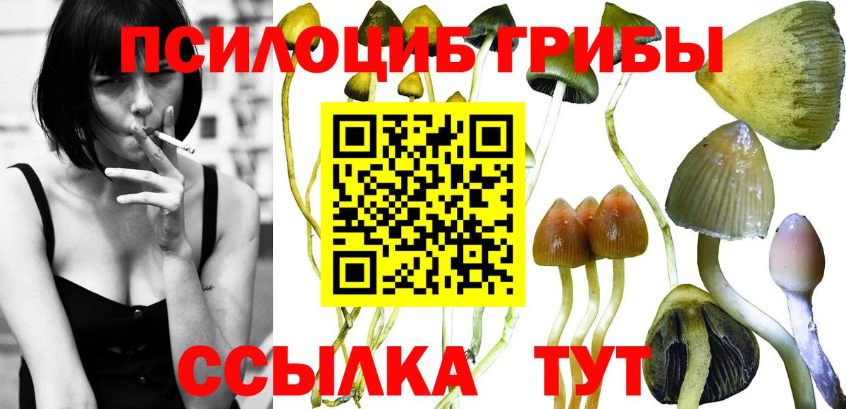 Псилоцибиновые грибы Magic Shrooms  Псилоцибиновые грибы GOLDEN TEACHER  Каменск-Шахтинский  Вход с VPN 