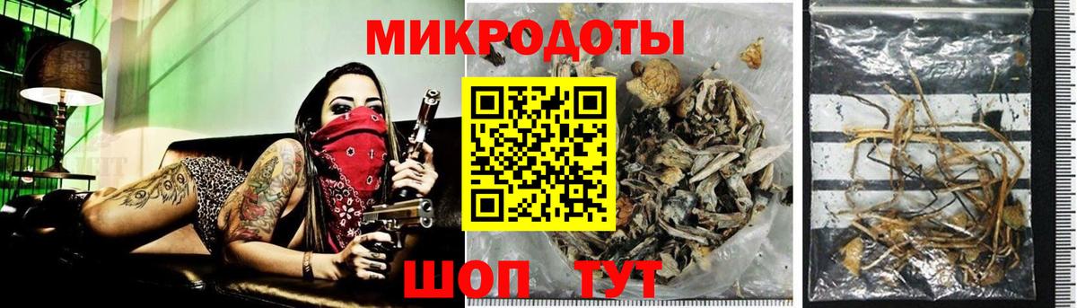 Псилоцибиновые грибы прущие грибы Каменск-Шахтинский